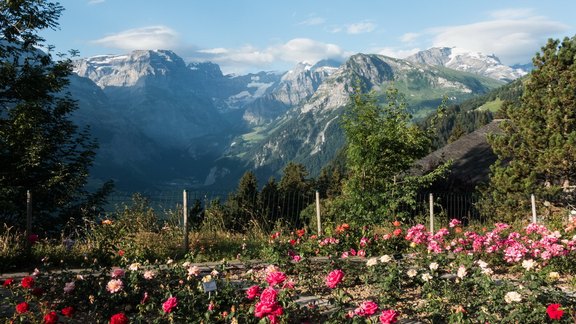 Regeneration Cures in Braunwald Switzerland